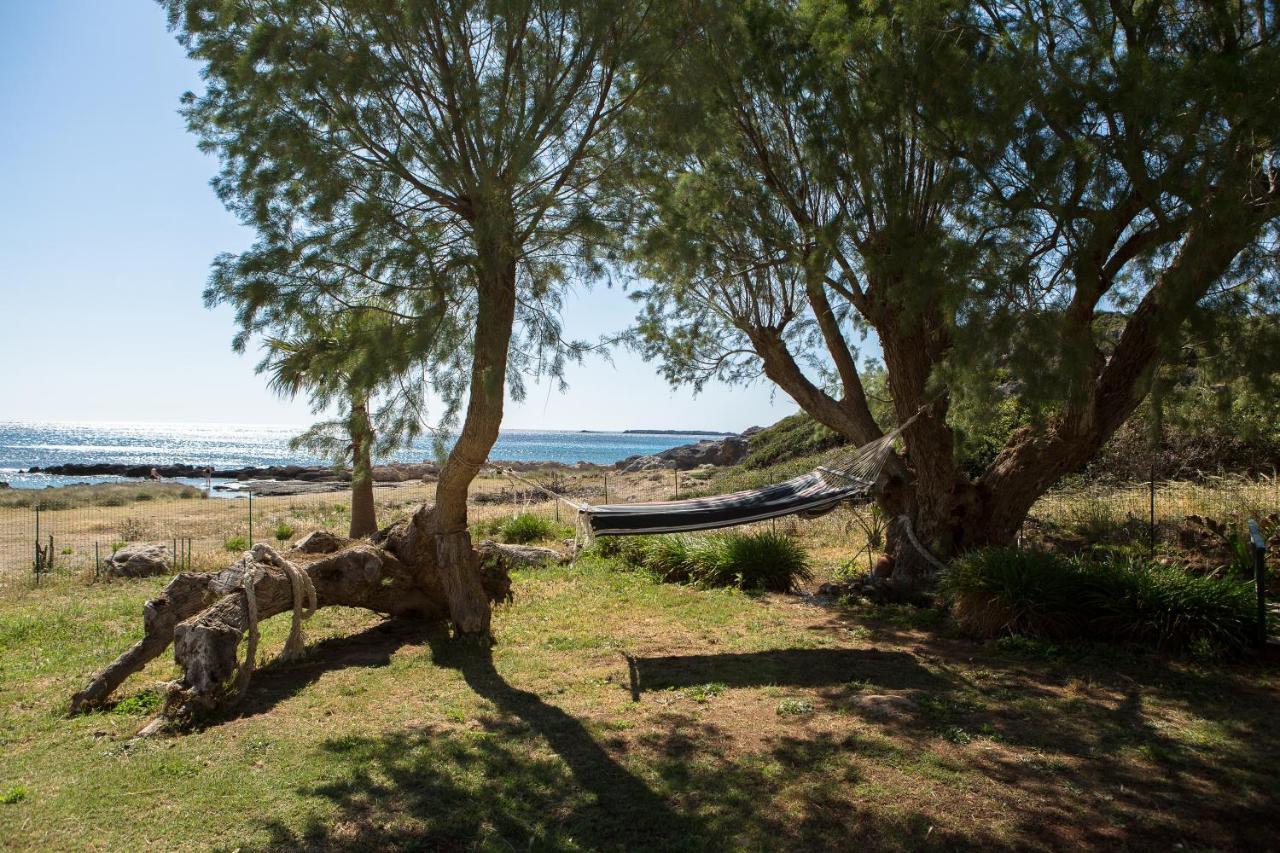 Mera Beachfront House - Falasarna Exteriér fotografie