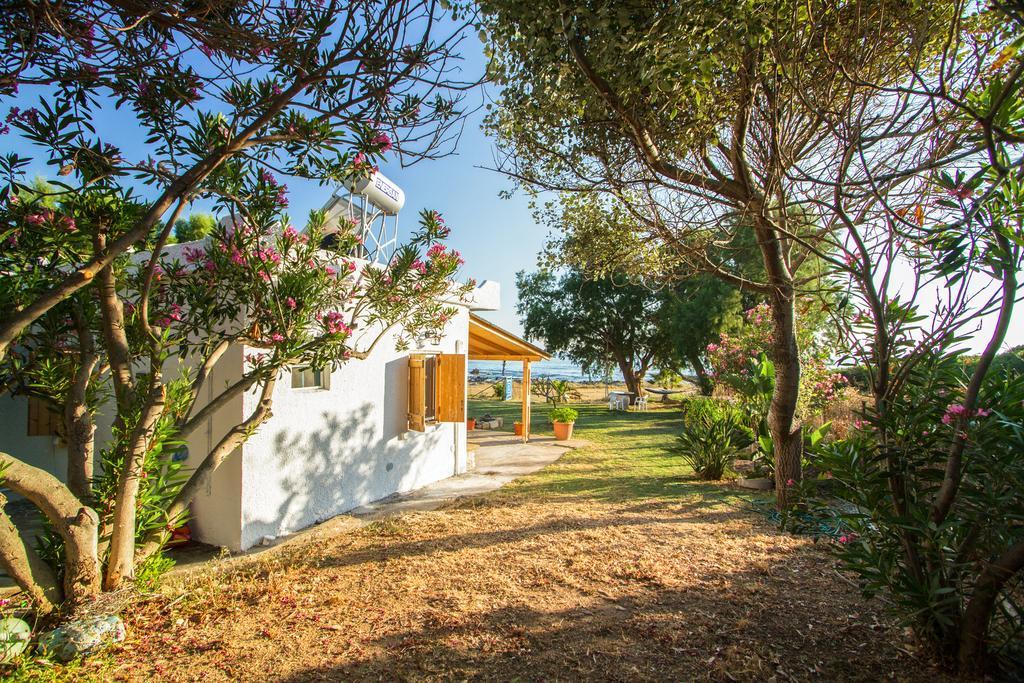 Mera Beachfront House - Falasarna Exteriér fotografie